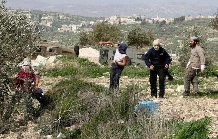 مستعمرون يهاجمون المواطنين في المسعودية