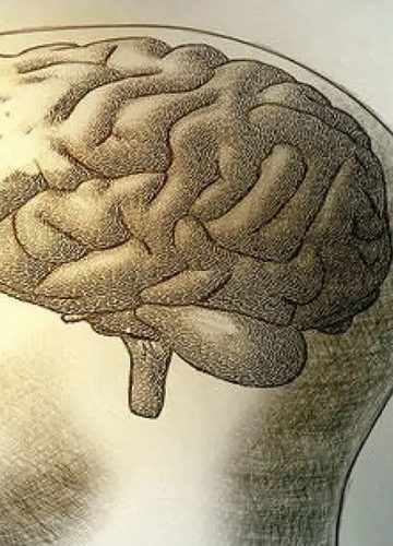 هل تعرف لماذا تخونك الذاكرة؟ دراسة تكشف دور خلايا الهيستامين