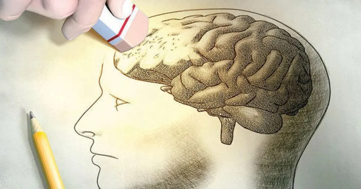 هل تعرف لماذا تخونك الذاكرة؟ دراسة تكشف دور خلايا الهيستامين