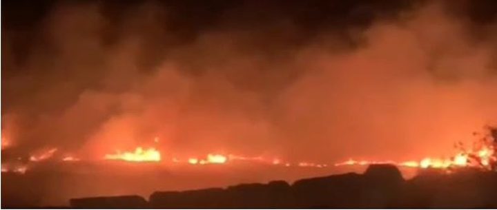 مستوطنون يعتدون على المواطنين ويحرقون أراضي زراعية في المسعودية شمال غرب نابلس