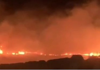 مستوطنون يعتدون على المواطنين ويحرقون أراضي زراعية في المسعودية شمال غرب نابلس