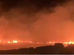 مستوطنون يعتدون على المواطنين ويحرقون أراضي زراعية في المسعودية شمال غرب نابلس