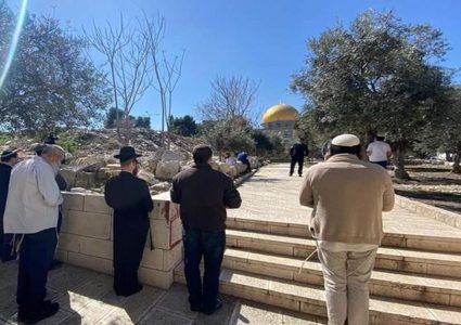 302 مستوطن يقتحمون المسجد الأقصى