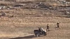 مستوطنون يهاجمون خربة “ادقيقة” وجنود الاحتلال يعتقلون ثلاثة مواطنين جنوب الخليل