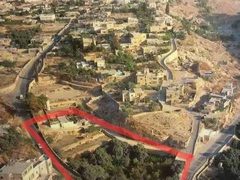 الأردن يدين استيلاء الاحتلال على أرض لبطريركية الروم الأرثوذكس في سلوان