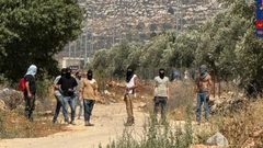 مستوطنون يهاجمون ترمسعيا وسنجل شمال شرق رام الله