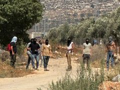 مستوطنون يهاجمون ترمسعيا وسنجل شمال شرق رام الله