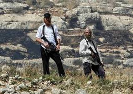 الاحتلال يعتقل شقيقين من مسافر يطا ومستوطنون يخربون ممتلكات المواطنين