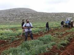 مستوطنون يهاجمون بلدة ترمسعيا شمال شرق رام الله