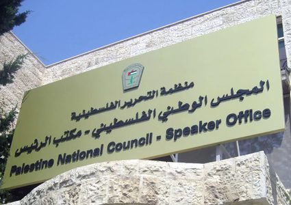 فتوح: بدء التحضيرات لاستكمال انتخاب أعضاء المجلس الوطني في دول الشتات