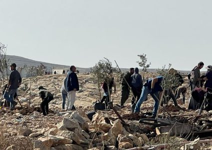 إصابة 4 مواطنين واقتلاع 60 شجرة في هجوم للمستوطنين جنوب الخليل