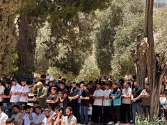 أكثر من 60 ألف مصلِّ أدّوا صلاة الجمعة في المسجد الأقصى المبارك، رغم عراقيل الاحتلال