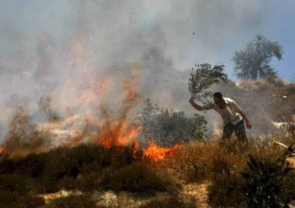 مستوطنون يضرمون النار في أراضي قرية برقا شرق رام الله