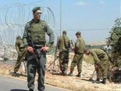 الاحتلال يقتحم عزبة الطبيب شرق قلقيلية