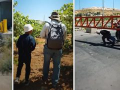 مخطط استيطاني يلتهم كروم العنب في حلحول ويخنق مزارعي الخليل