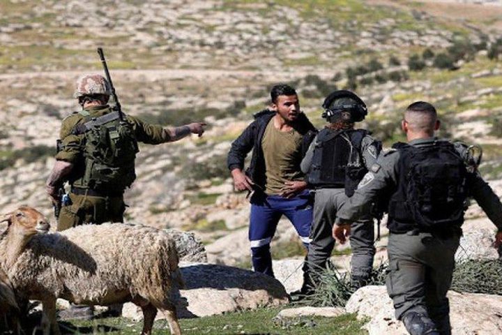 مستوطنون يهاجمون رعاة أغنام في الرشايدة شرق بيت لحم ويصيبون مواطنًا برضوض