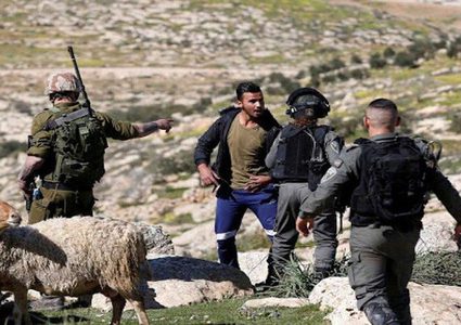 مستوطنون يهاجمون رعاة أغنام في الرشايدة شرق بيت لحم ويصيبون مواطنًا برضوض