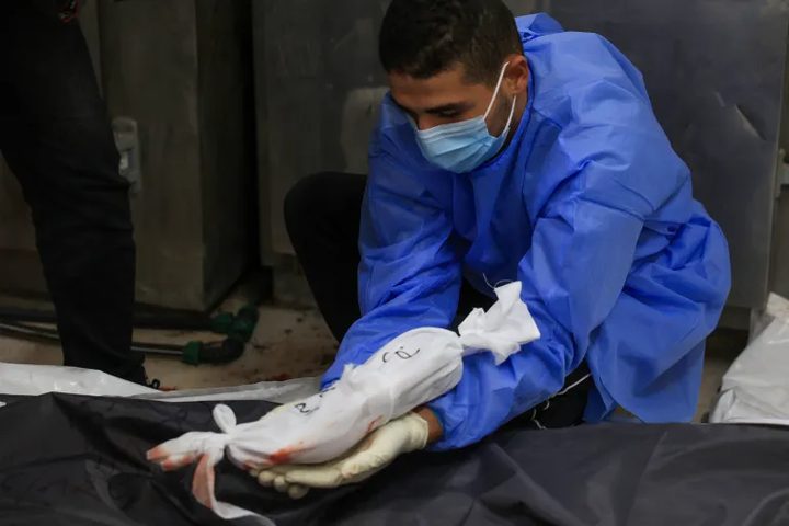 تحقيق: تراجع معدلات المواليد في غزة خلال الأشهر الأولى من 2026
