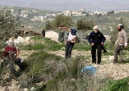 مستوطنون يهاجمون منطقة المسعودية شمال غرب نابلس