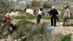 مستوطنون يهاجمون منطقة المسعودية شمال غرب نابلس