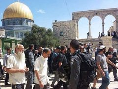 112 مستوطناً يقتحمون المسجد الأقصى