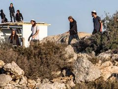 مستوطنون يدمرون مزرعة شمال غرب نابلس