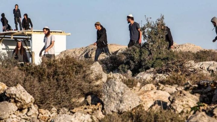 مستوطنون يدمرون مزرعة شمال غرب نابلس