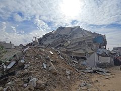 غزة: خسائر القطاع الزراعي نحو 3.49 مليار دولار أمريكي