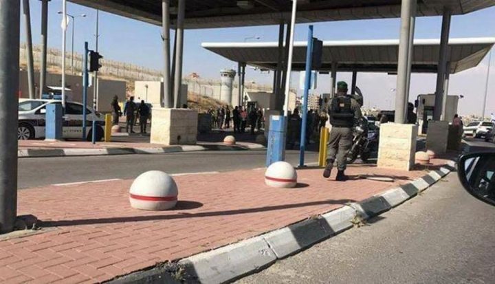 الاحتلال يحتجز طاقمًا بيطريًا جنوب شرق طوباس