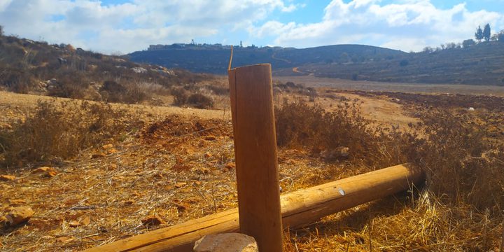 مستوطنون يقطعون أعمدة الكهرباء في بلدة بيتا