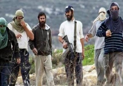 مستوطنون يهاجمون أطراف بلدة سنجل