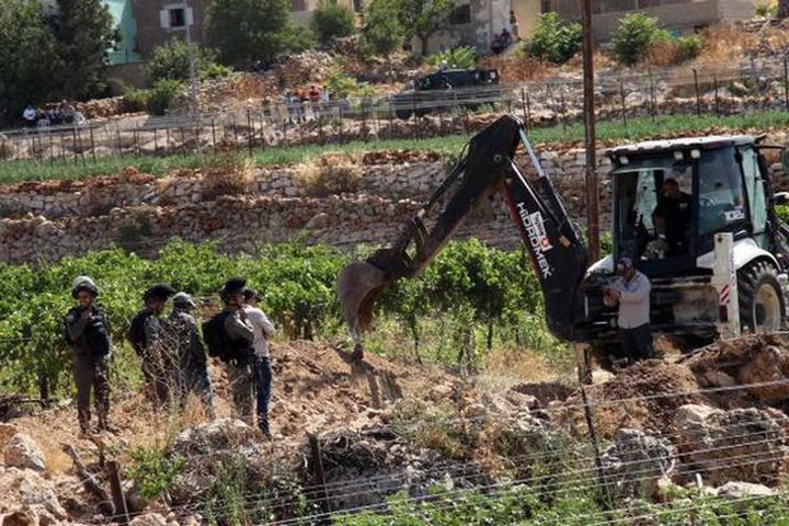 الاحتلال يحرق عشرات أشجار الزيتون في دير قديس غرب رام الله