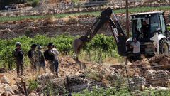 الاحتلال يحرق عشرات أشجار الزيتون في دير قديس غرب رام الله