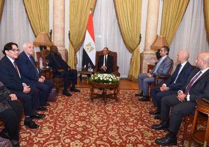 وزير الخارجية المصري يؤكد دعم القضية الفلسطينية ويدعو لحشد الضغط على اسرائيل