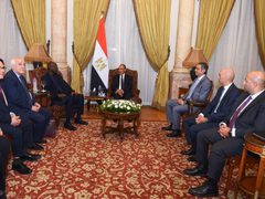 وزير الخارجية المصري يؤكد دعم القضية الفلسطينية ويدعو لحشد الضغط على اسرائيل