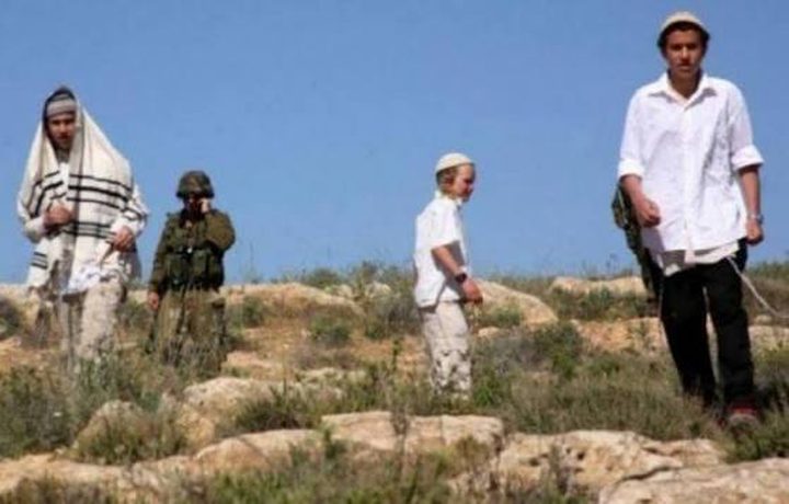 مستوطنون يهاجمون مساكن المواطنين في يطا جنوب الخليل