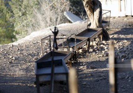 المواطن إبراهيم شيلو يتفقد مزرعته في قرية عين عريك غرب رام الله، بعد أن استولى مستوطنون، بحماية قوات الاحتلال، على أغنامه.