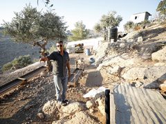 المواطن إبراهيم شيلو يتفقد مزرعته في قرية عين عريك غرب رام الله، بعد أن استولى مستوطنون، بحماية قوات الاحتلال، على أغنامه.