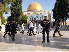 محافظة القدس: أكثر من 1300 مستوطن يقتحمون المسجد الأقصى وسط تشديدات عسكرية