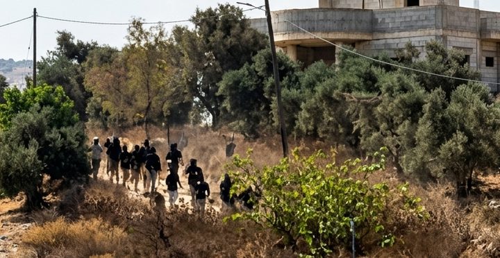 مستوطنون يهاجمون مناطق بين جيت وتل شرق قلقيلية والأهالي يتصدون لهم