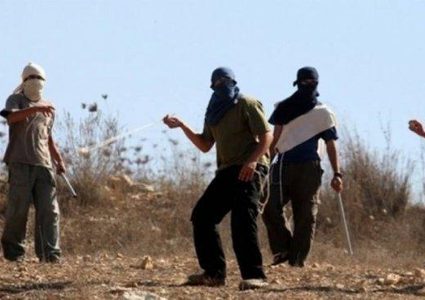 مستوطنون يهاجمون قرية عصيرة القبلية جنوب نابلس