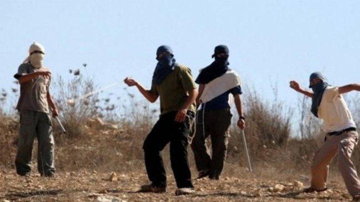 مستوطنون يهاجمون قرية عصيرة القبلية جنوب نابلس