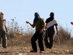 مستوطنون يهاجمون قرية عصيرة القبلية جنوب نابلس