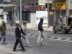مستوطنون يعتدون على المواطنين ويستولون على ثلاث مركبات في الأغوار الشمالية