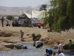 مستوطنون يداهمون خيام المواطنين في الرأس الأحمر