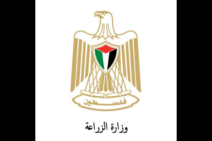 "الزراعة" تتسلم 500 ألف جرعة لقاح استعدادا لتحصين الأغنام والماعز