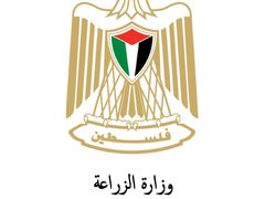 "الزراعة" تتسلم 500 ألف جرعة لقاح استعدادا لتحصين الأغنام والماعز