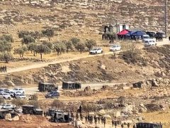 مستوطنون يعربدون في عدة مناطق بمحافظة رام الله والبيرة