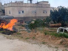 تصعيد للمستوطنين جنوب نابلس: إحراق أراضٍ في بيتا واستهداف مركبات قرب بورين