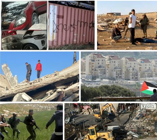 "مقاومة الجدار": 2256 اعتداء نفذها جيش الاحتلال والمستوطنون في تموز